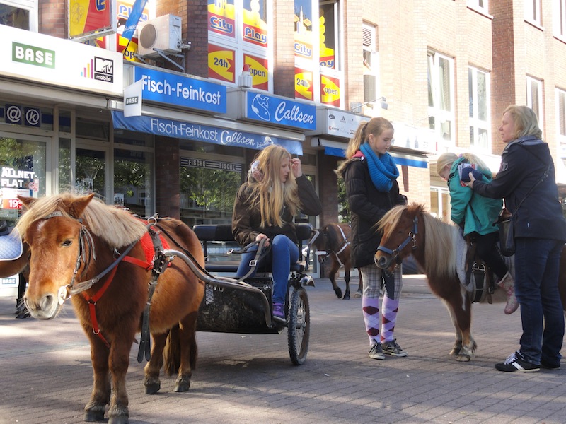 Tibarg Bauernmarkt & Weinfest 2013 Die kleinen Besucher können auf einem Pony reiten.