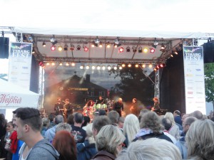 Die Besuchermenge schaut einer performenden Band auf einer beleuchteten Bühne zu.
