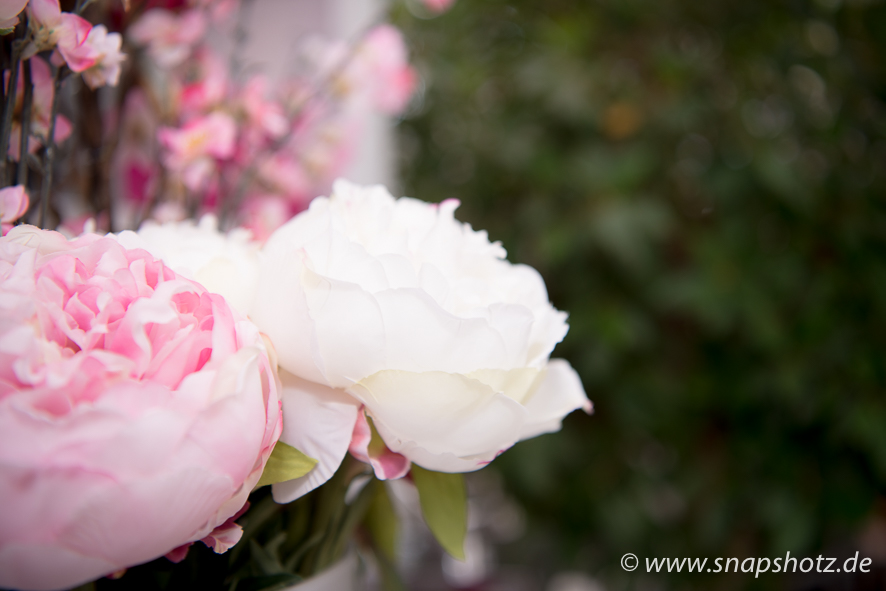 Blumen Tomfort Rosen von Blumen Tomfort