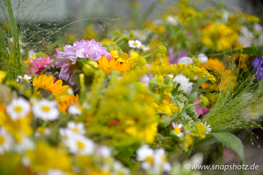 Blumen Rühmann Blumenpracht bei Blumen Rühmann