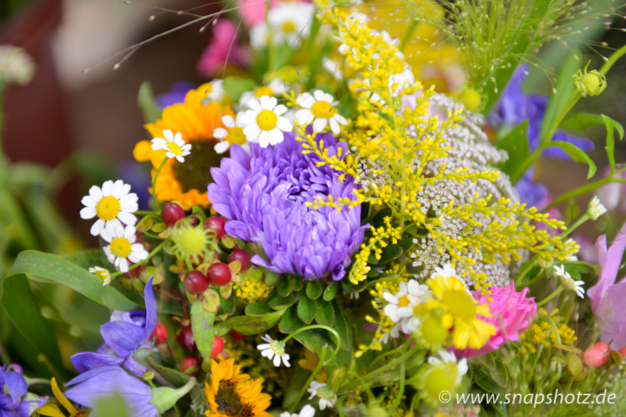 Blumen Rühmann Schöne Blumen von Blumen Rühmann