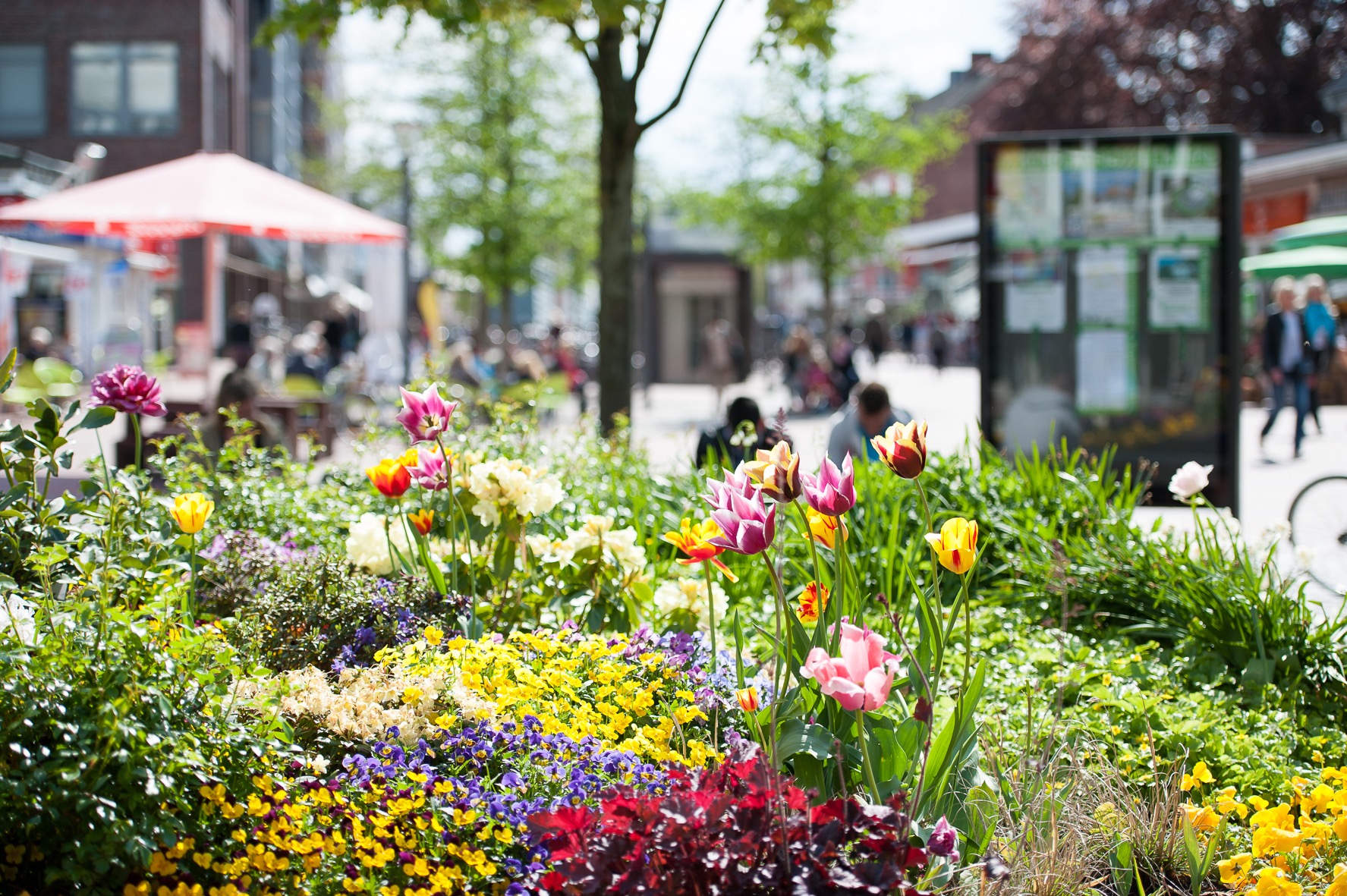 Blumenpracht am Tibarg Blühender Dorfplatz